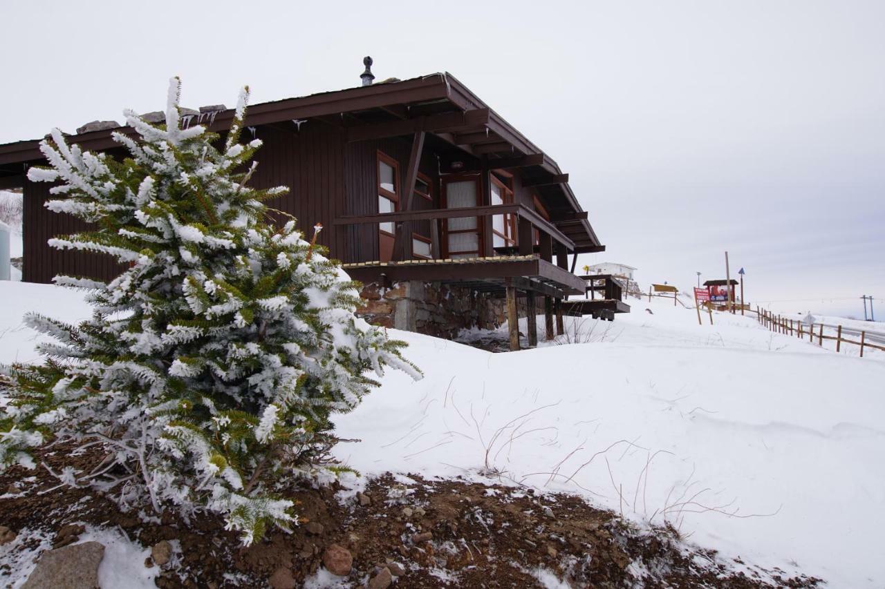 El Colorado Bungalows Extérieur photo
